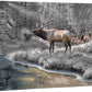 Crossing Bear Canyon Elk - 24" x 36" Gallery Wrapped Canvas
