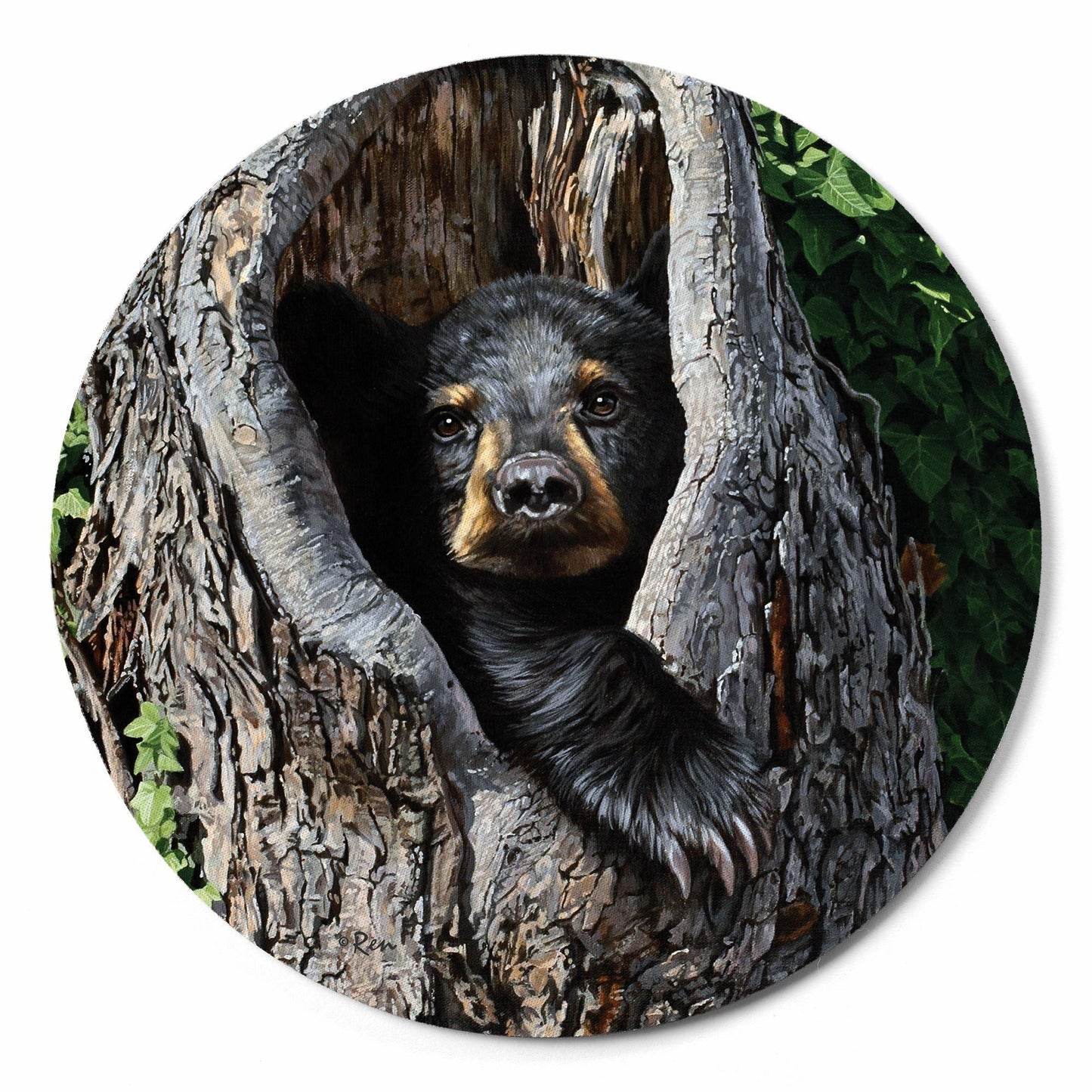 Cubby Hole - Bear Cub