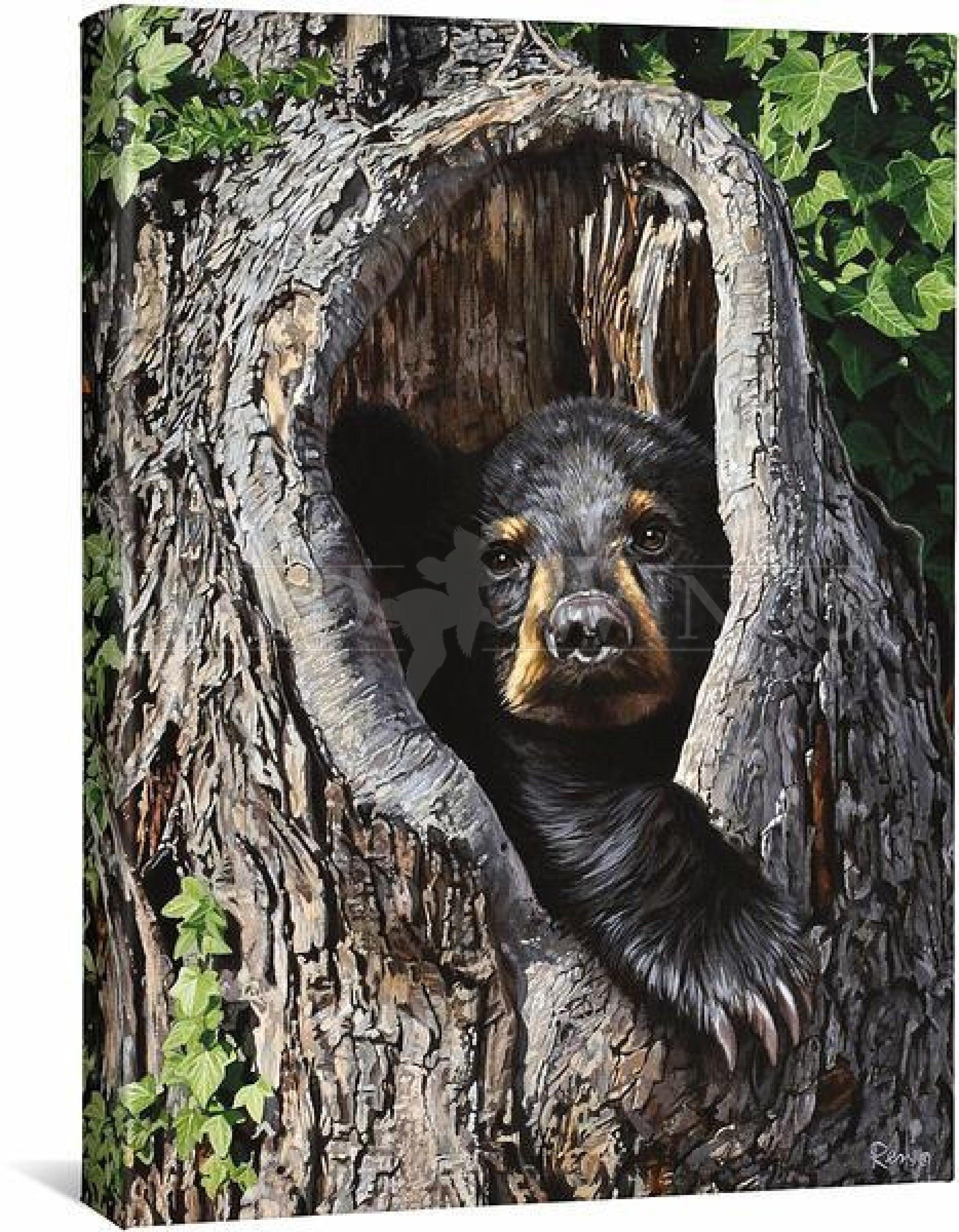 cubby-holemdashblack-bear-gallery-wrapped-canvas20-5h-x-16w-art-collection_646.jpg
