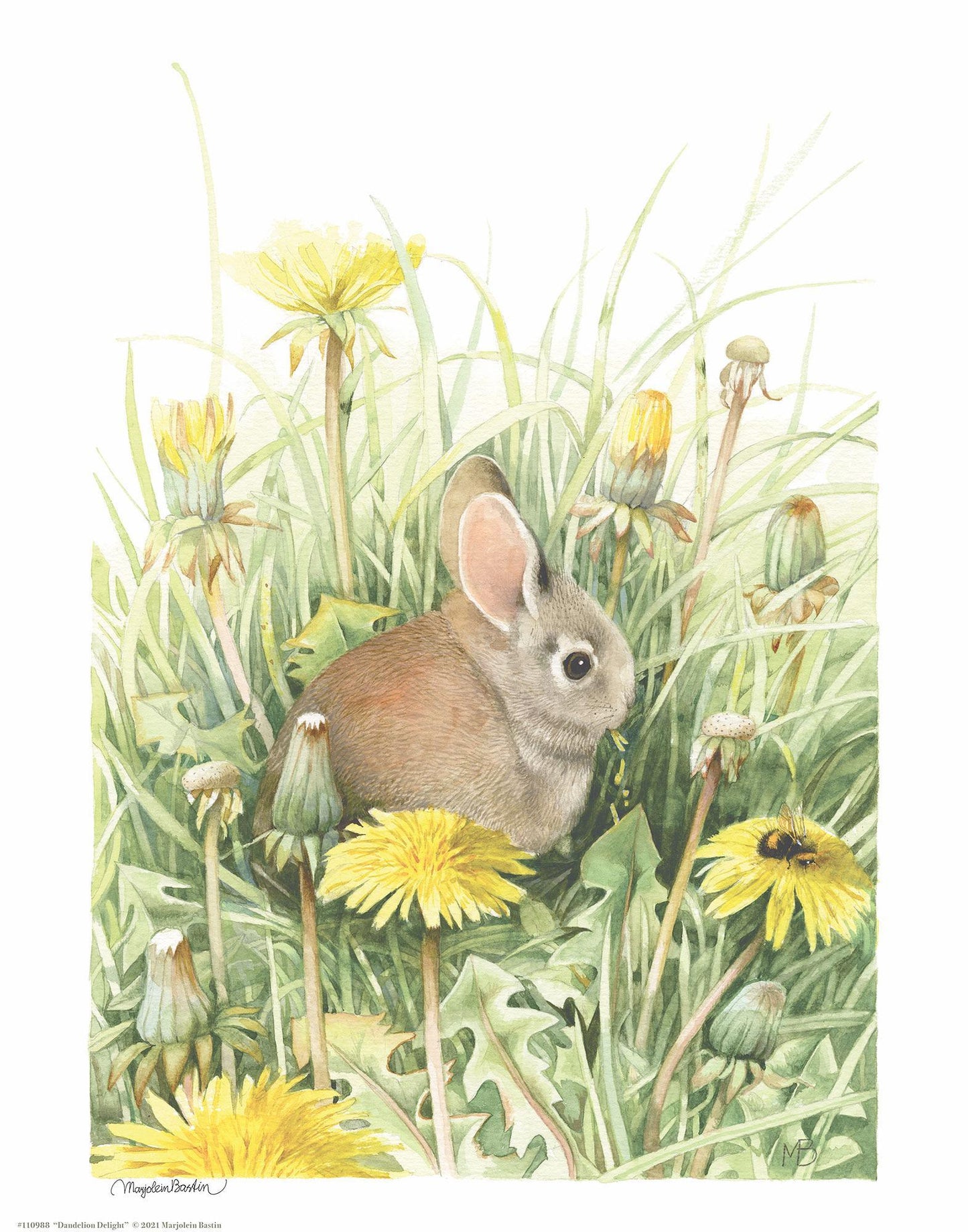 dandelion-delight14x11-apbastin-1058222074.jpg