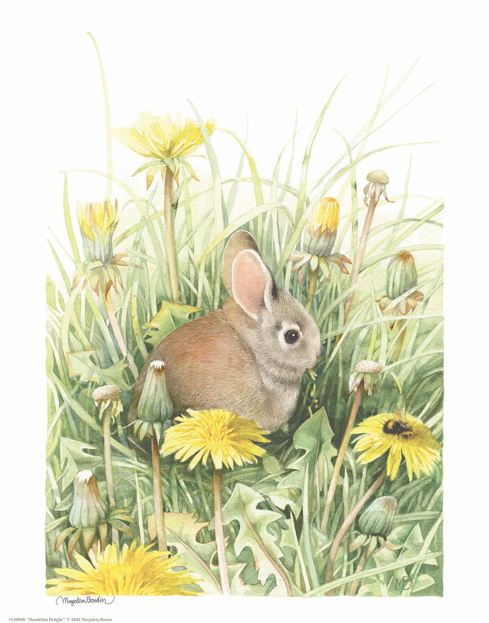 dandelion-delight14x11-apbastin-1058222074.jpg
