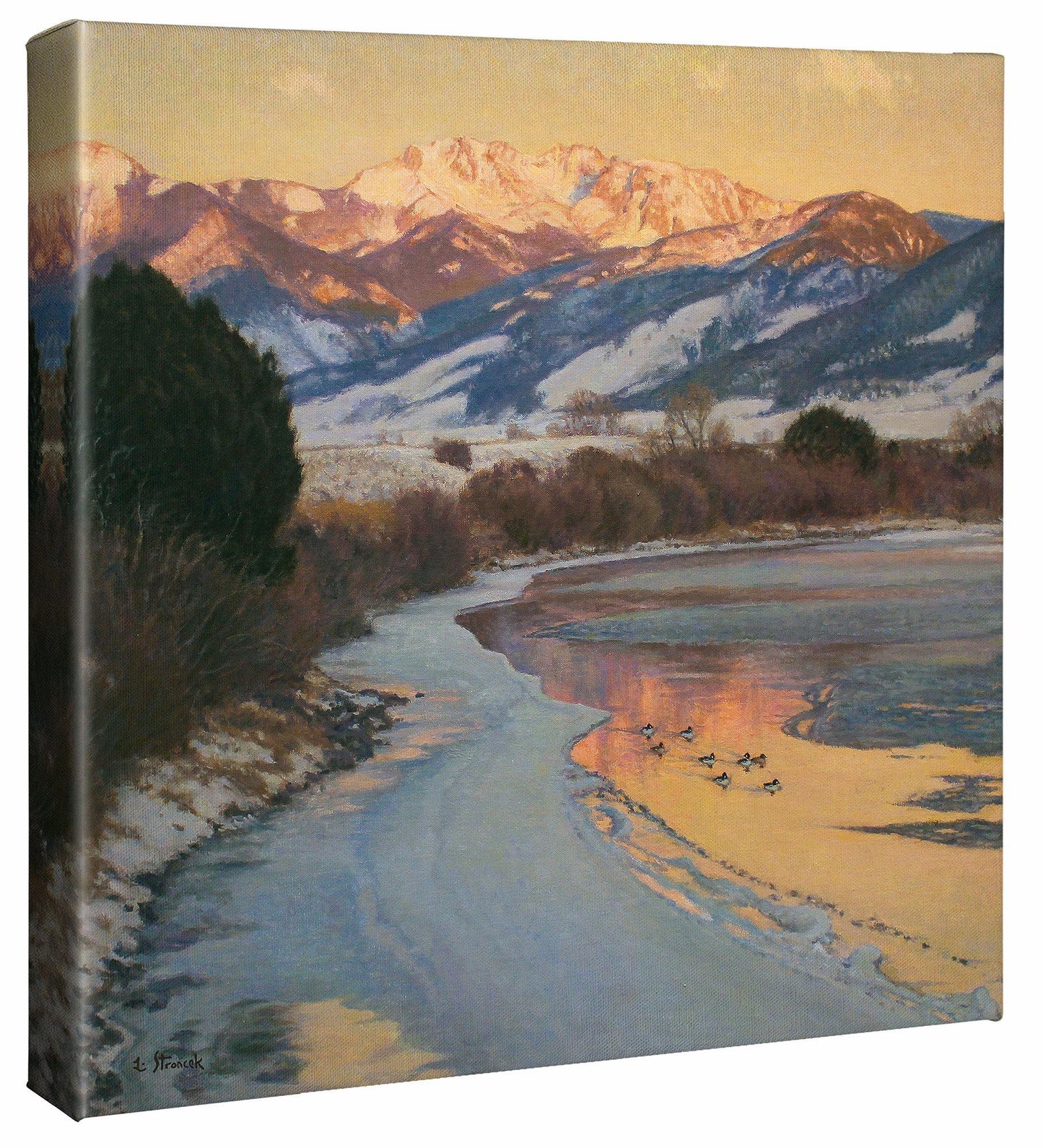 Days End —Goldeneyes - 14" x 14" Gallery Wrapped Canvas