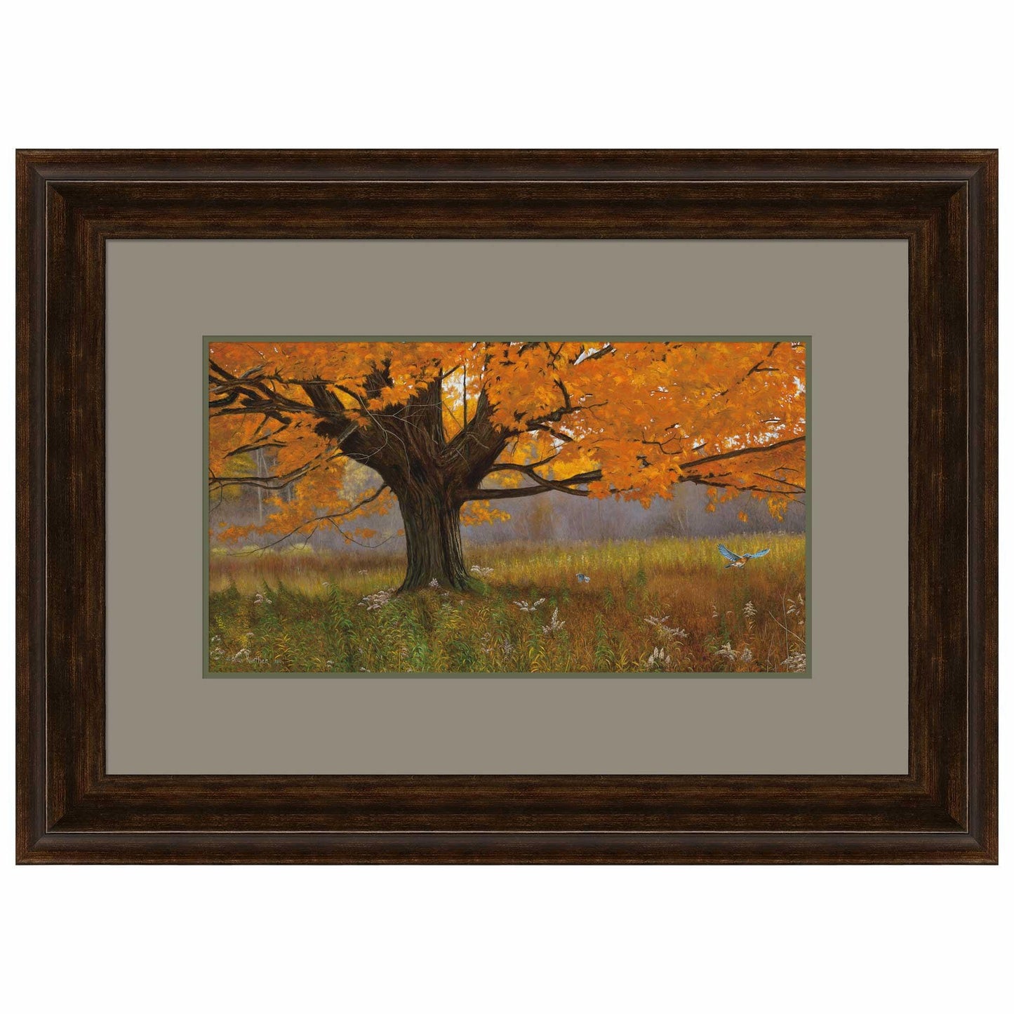 fall-splendor-eastern-bluebird-framed-print-brian-kuether-F471375038.jpg