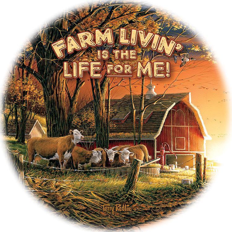 farm-livin-coasters-redlin-4209097529d_3a82b6ea-64ef-4fae-9f00-86e234258cb3.jpg