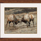 Anything for Love—Elk - Limited Edition Paper