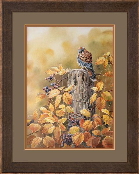 fd-autumn-mistbourdet-F085077032_c69eb8a2-7bed-4a50-9b5e-44a0fd78c923.jpg
