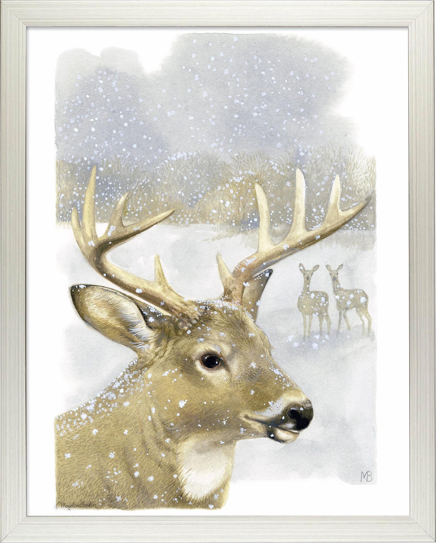 fd-beautiful-buck14x11-ap-silverbastin-F058100765S.jpg