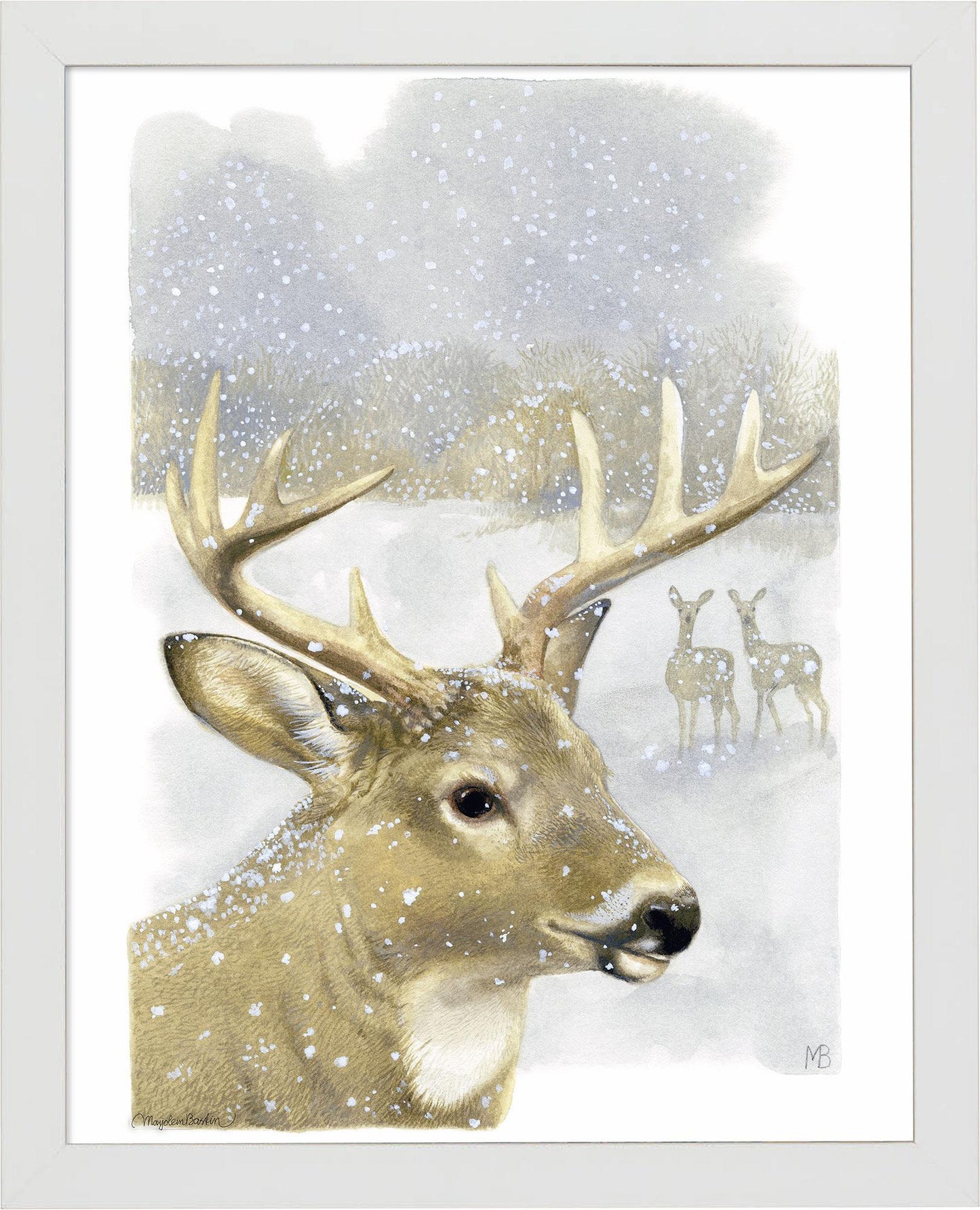 fd-beautiful-buck14x11-ap-whitebastin-F058100765W.jpg