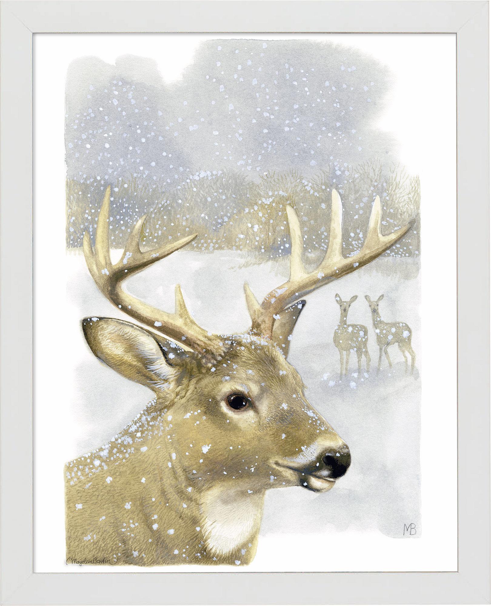 fd-beautiful-buck14x11-ap-whitebastin-F058100765W.jpg