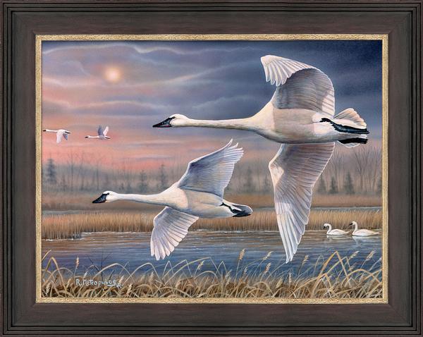 fd-evening-flight-swanscanvasmetropulos-F569210013_b3b6c2bc-6887-46bf-8bb1-8f2c143af760.jpg