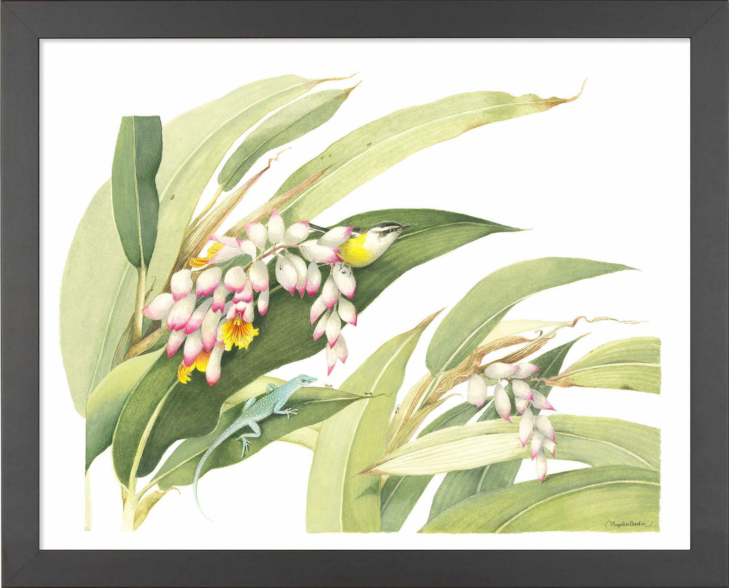 fd-flowering-ginger-plant14x11-ap-blackbas-F058225026B.jpg