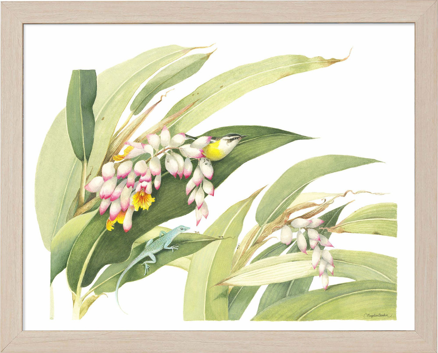 fd-flowering-ginger-plant14x11-ap-naturalb-F058225026N.jpg