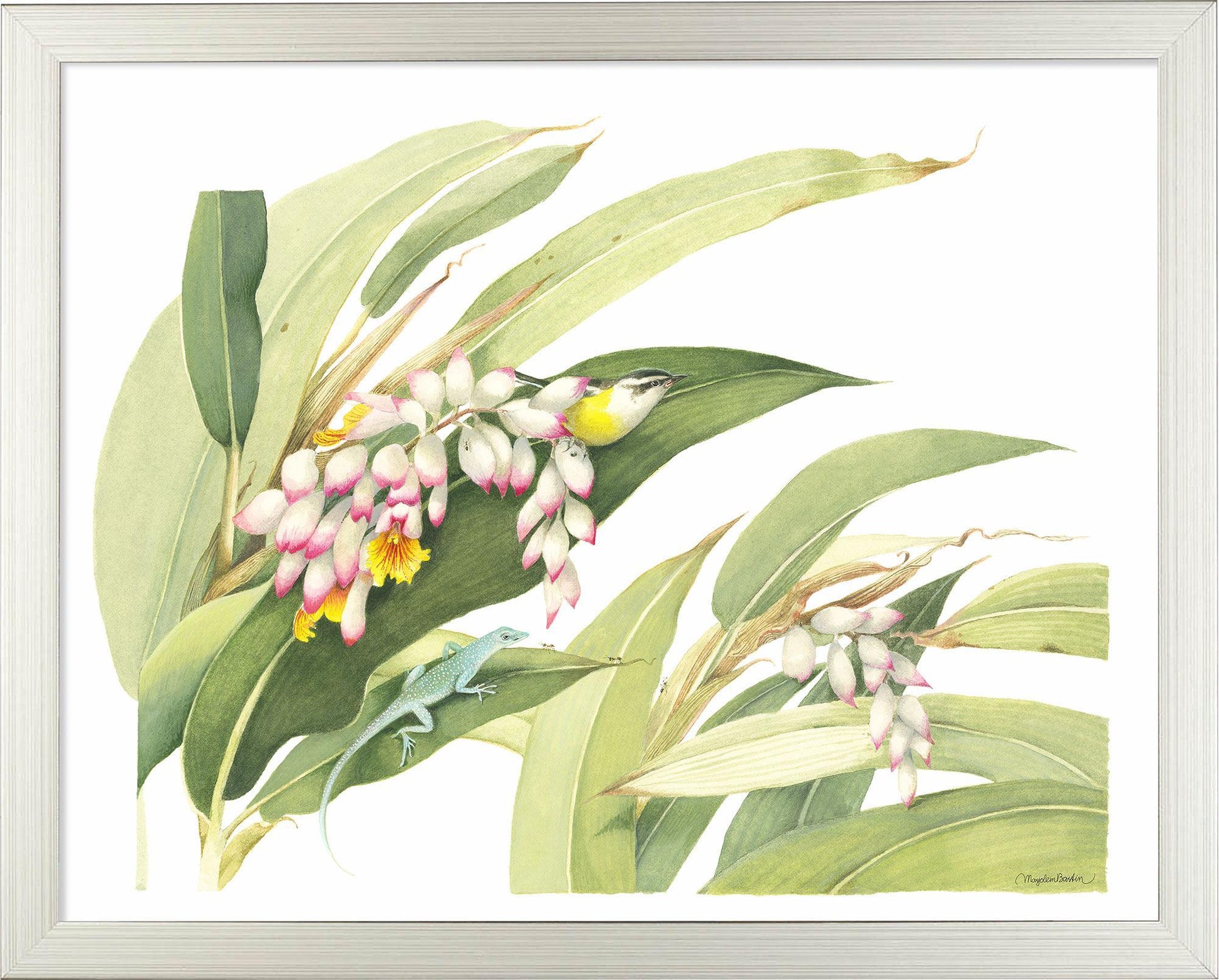 fd-flowering-ginger-plant14x11-ap-silverba-F058225026S.jpg