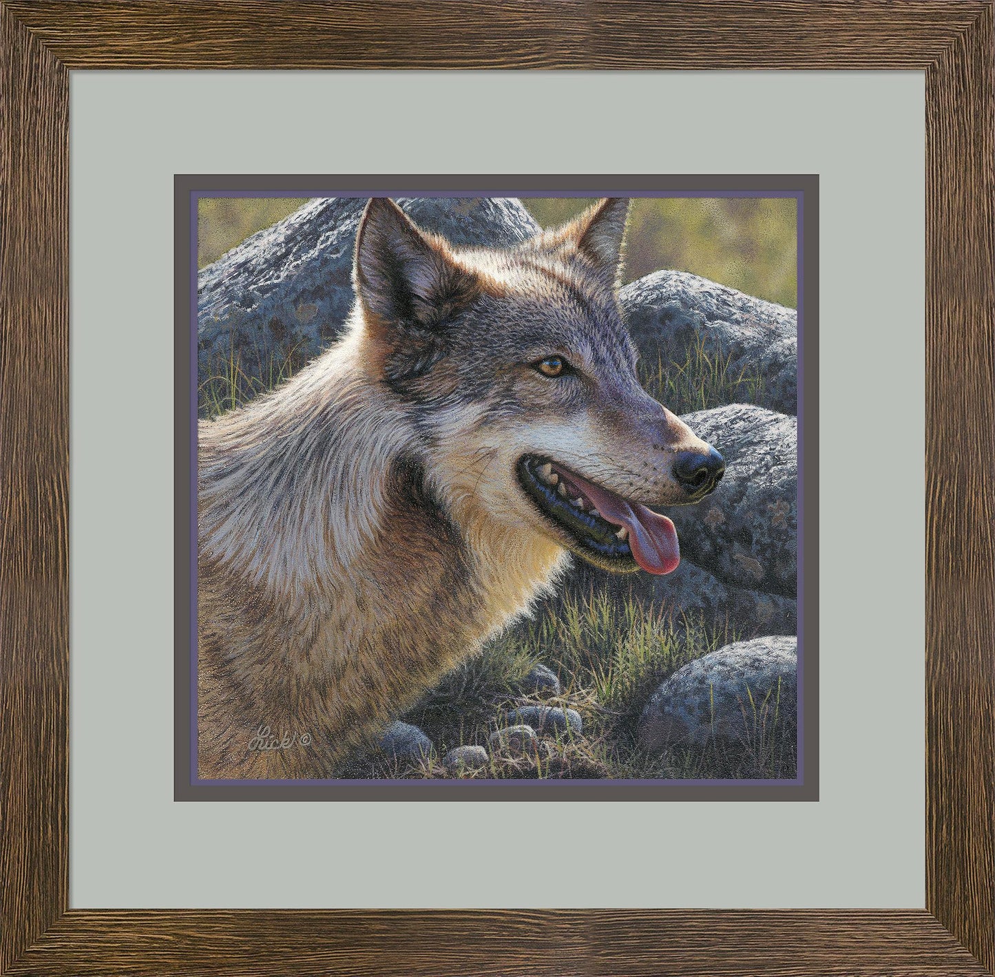 fd-gray-matter-wolflick-F513215071.jpg
