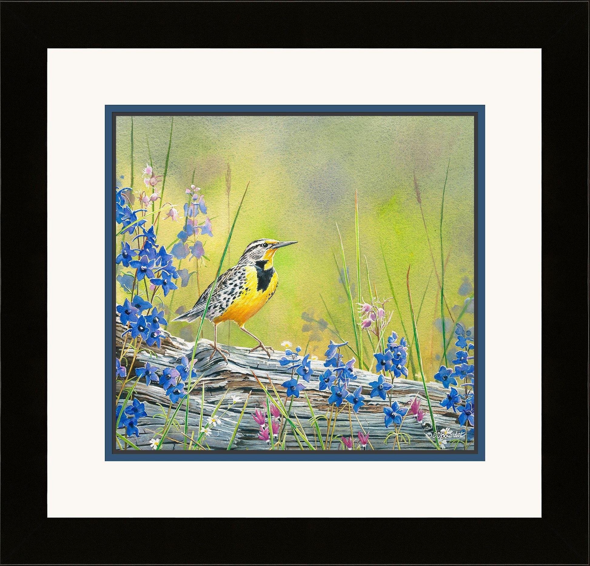 fd-lark-and-larkspur-14x15bourdet-F085474536.jpg