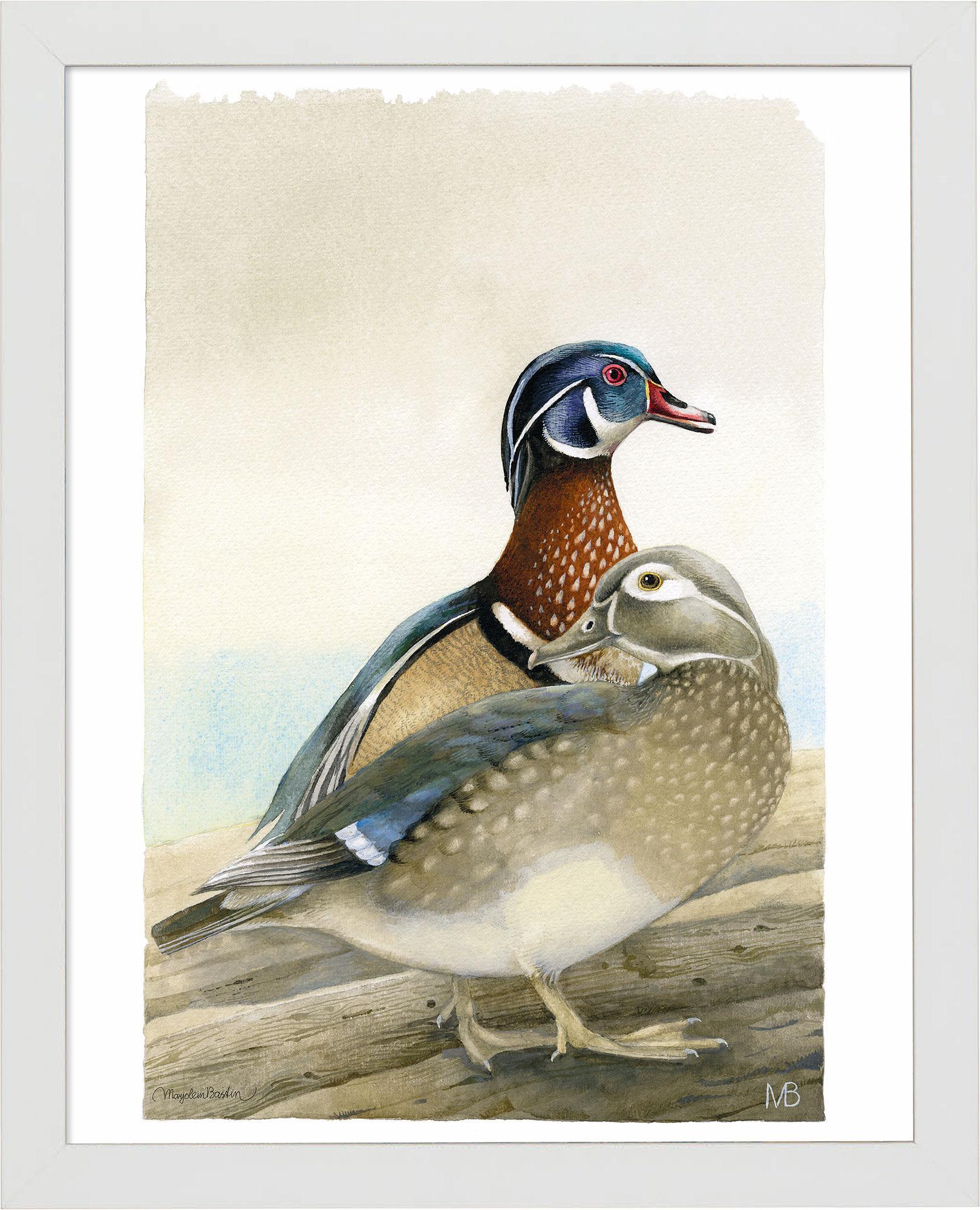 fd-my-dear-wood-ducks14x11-ap-whitebastin-F058559505W.jpg