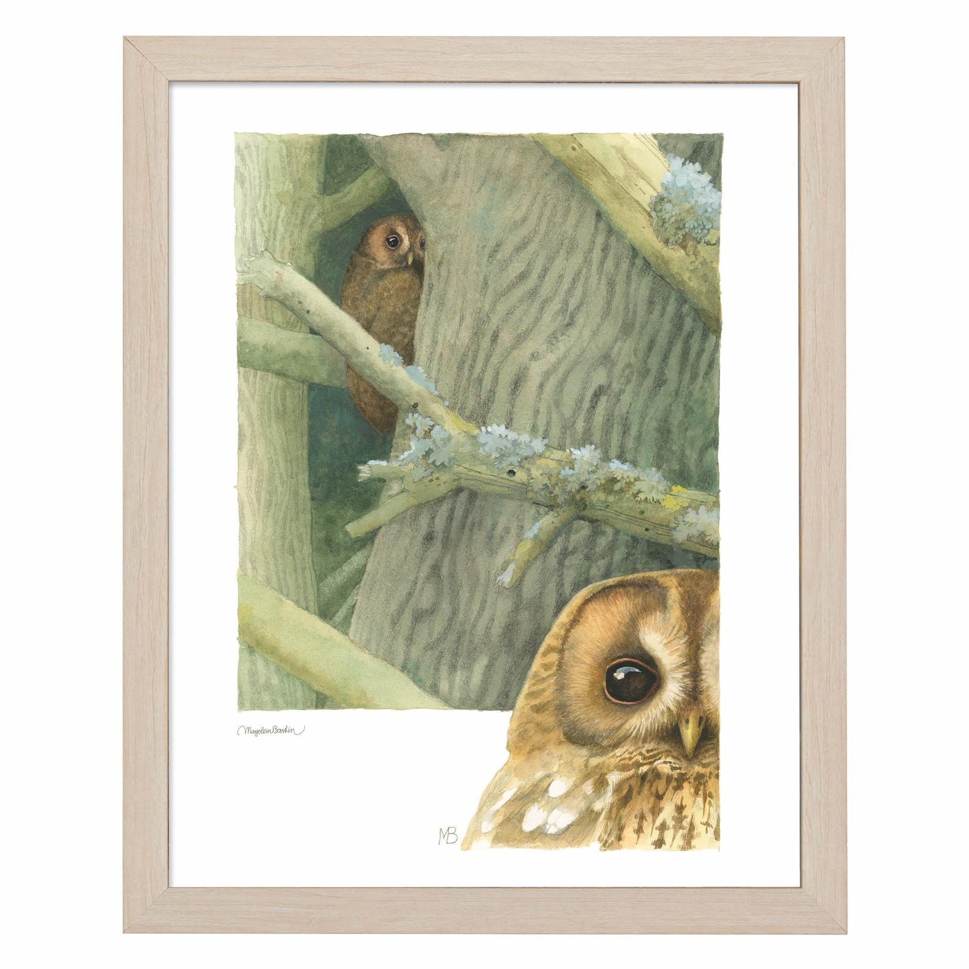 fd-owls-around-the-house14x11-ap-naturalba-F058590030N.jpg