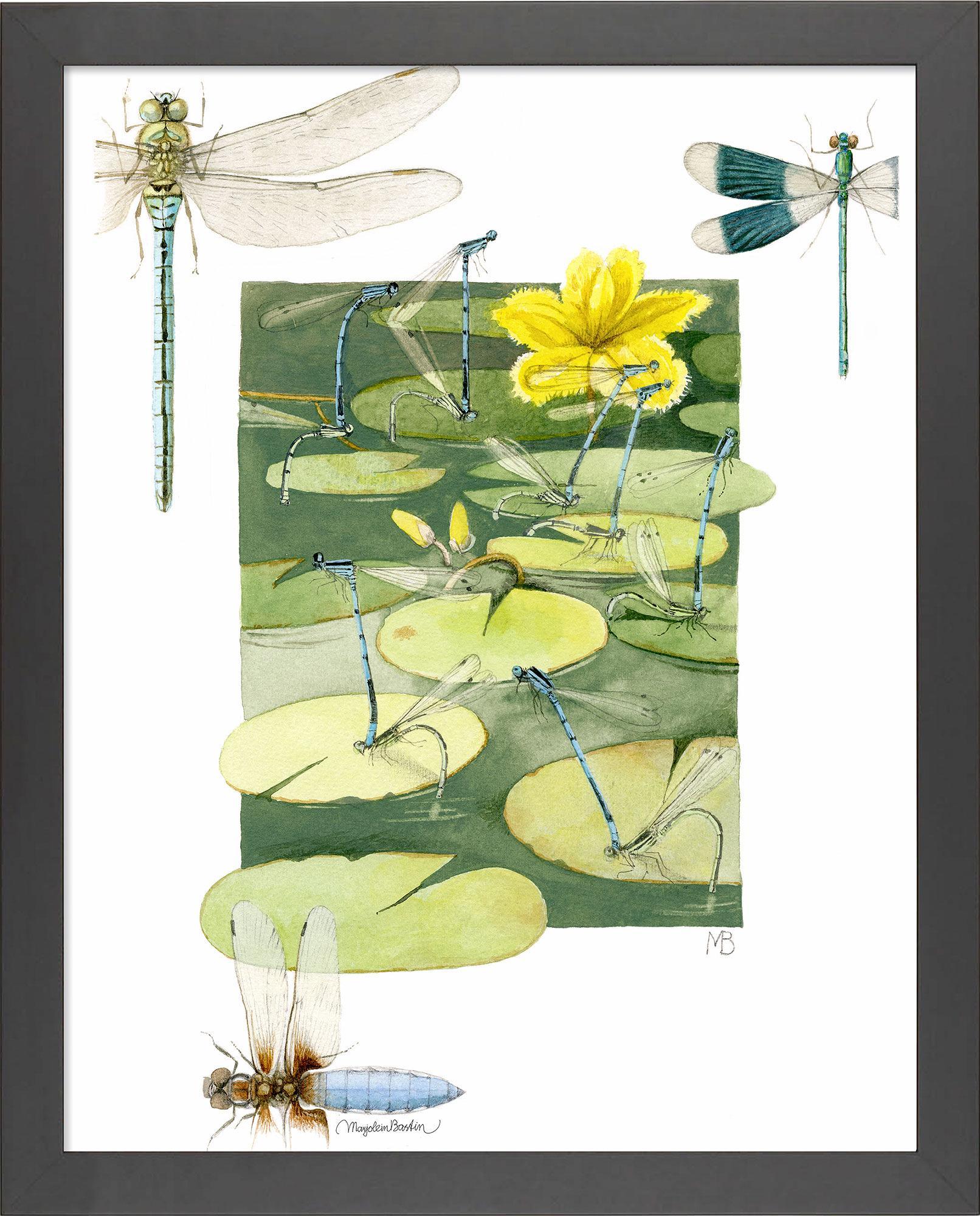 fd-rush-hour-above-pond14x11-ap-blackbasti-F058668576B.jpg