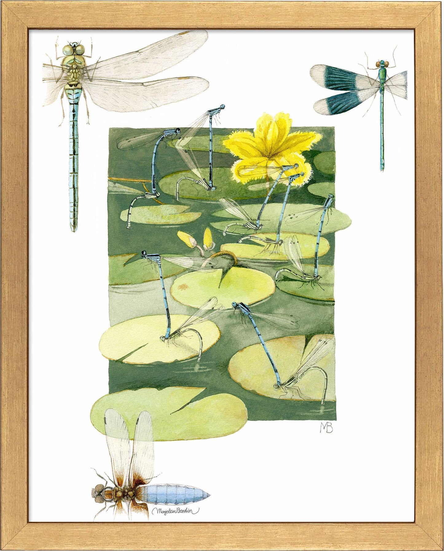 fd-rush-hour-above-pond14x11-ap-goldbastin-F058668576G.jpg