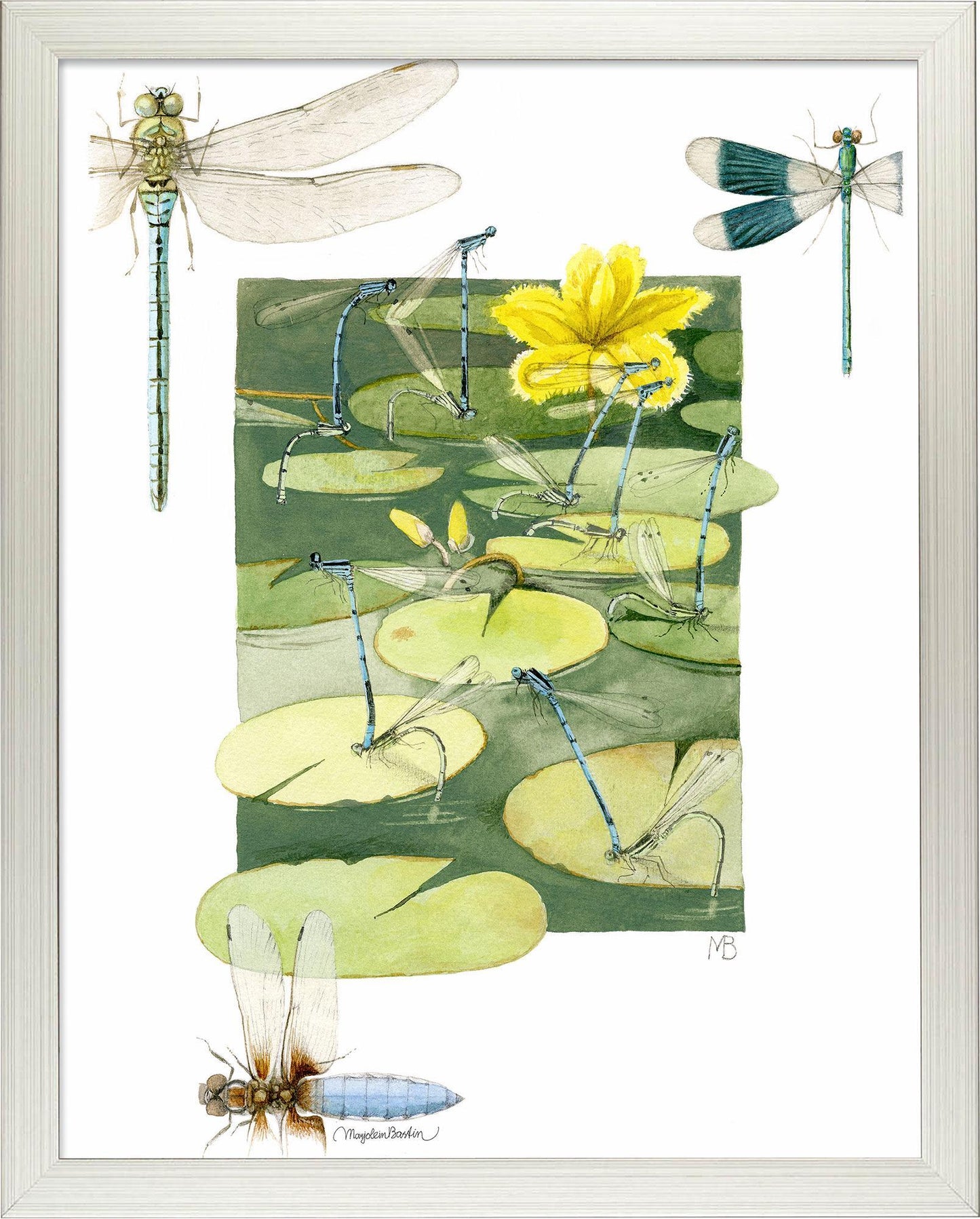 fd-rush-hour-above-pond14x11-ap-silverbast-F058668576S.jpg