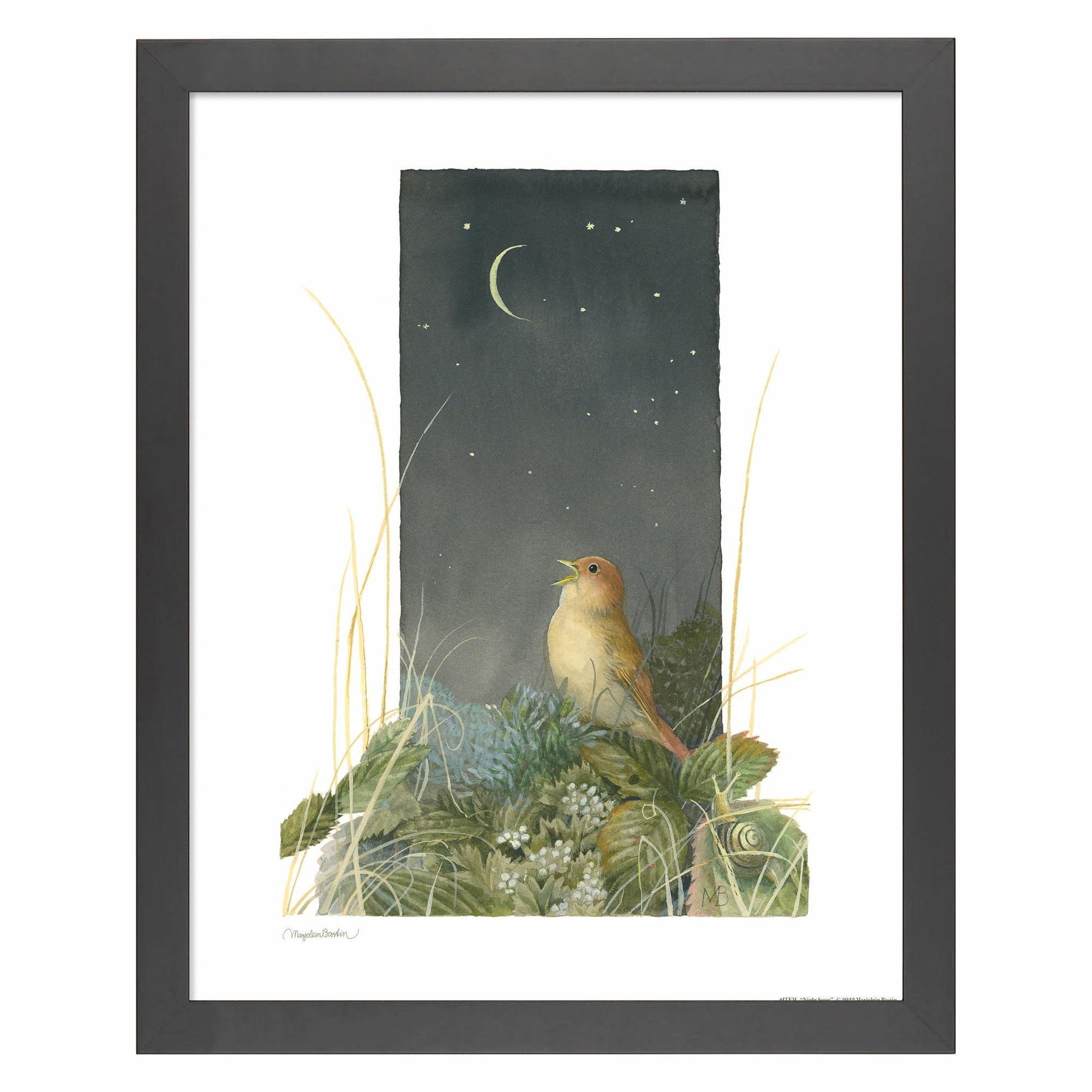 fd-song-of-the-nightingale14x11-ap-black-F058702549B.jpg