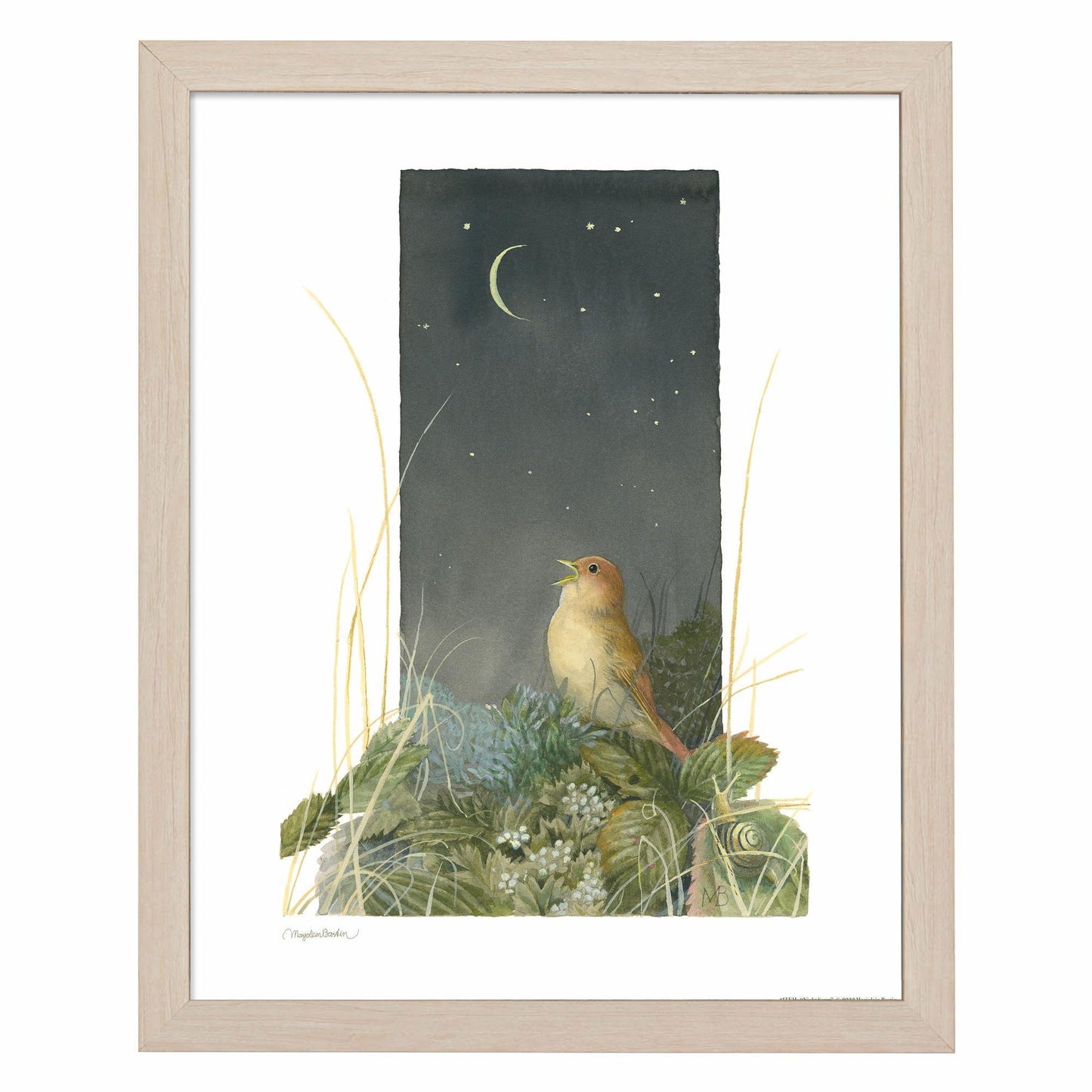 fd-song-of-the-nightingale14x11-ap-natural-F058702549N.jpg