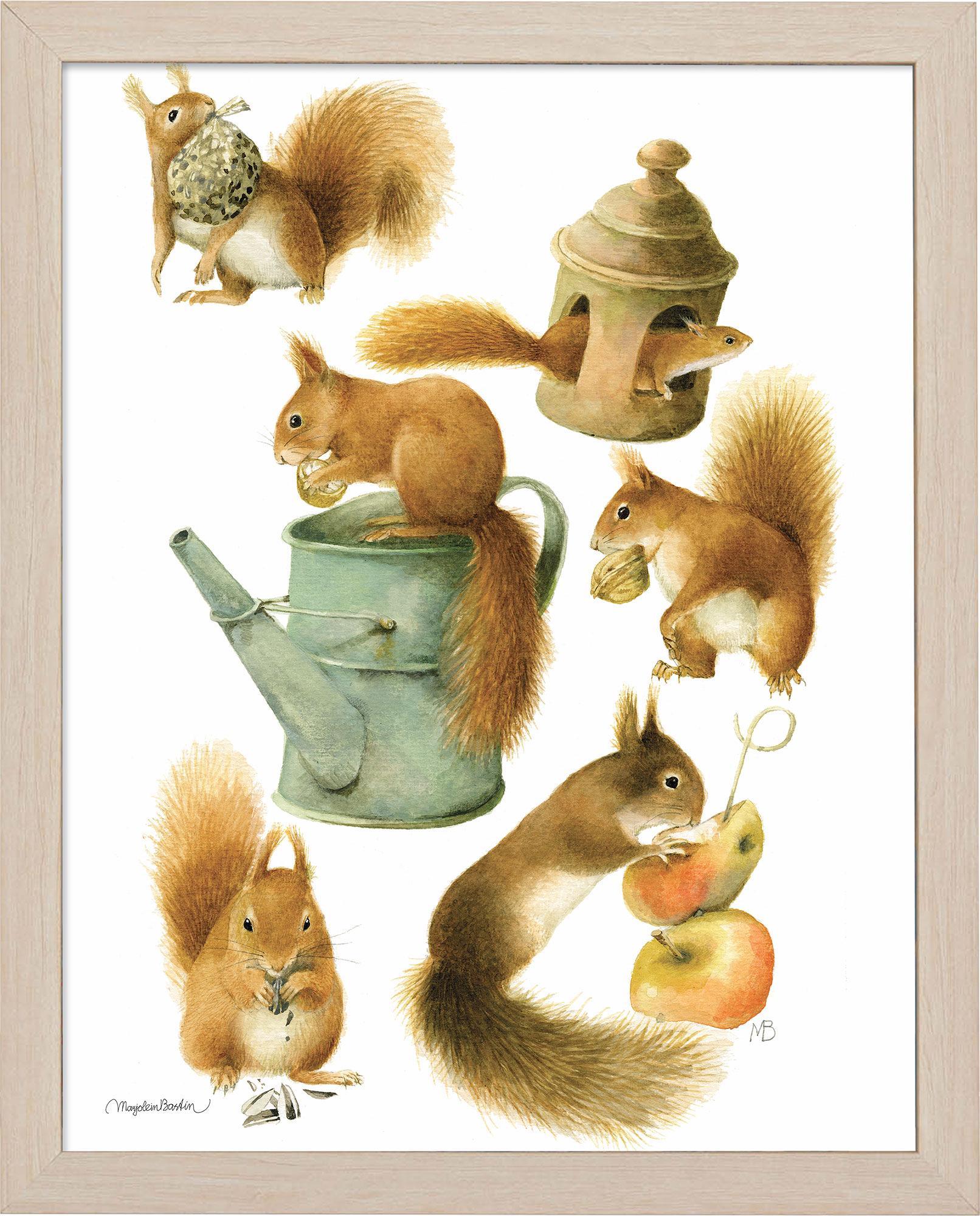 fd-spoiled-squirrels14x11-ap-naturalbastin-F058708774N.jpg