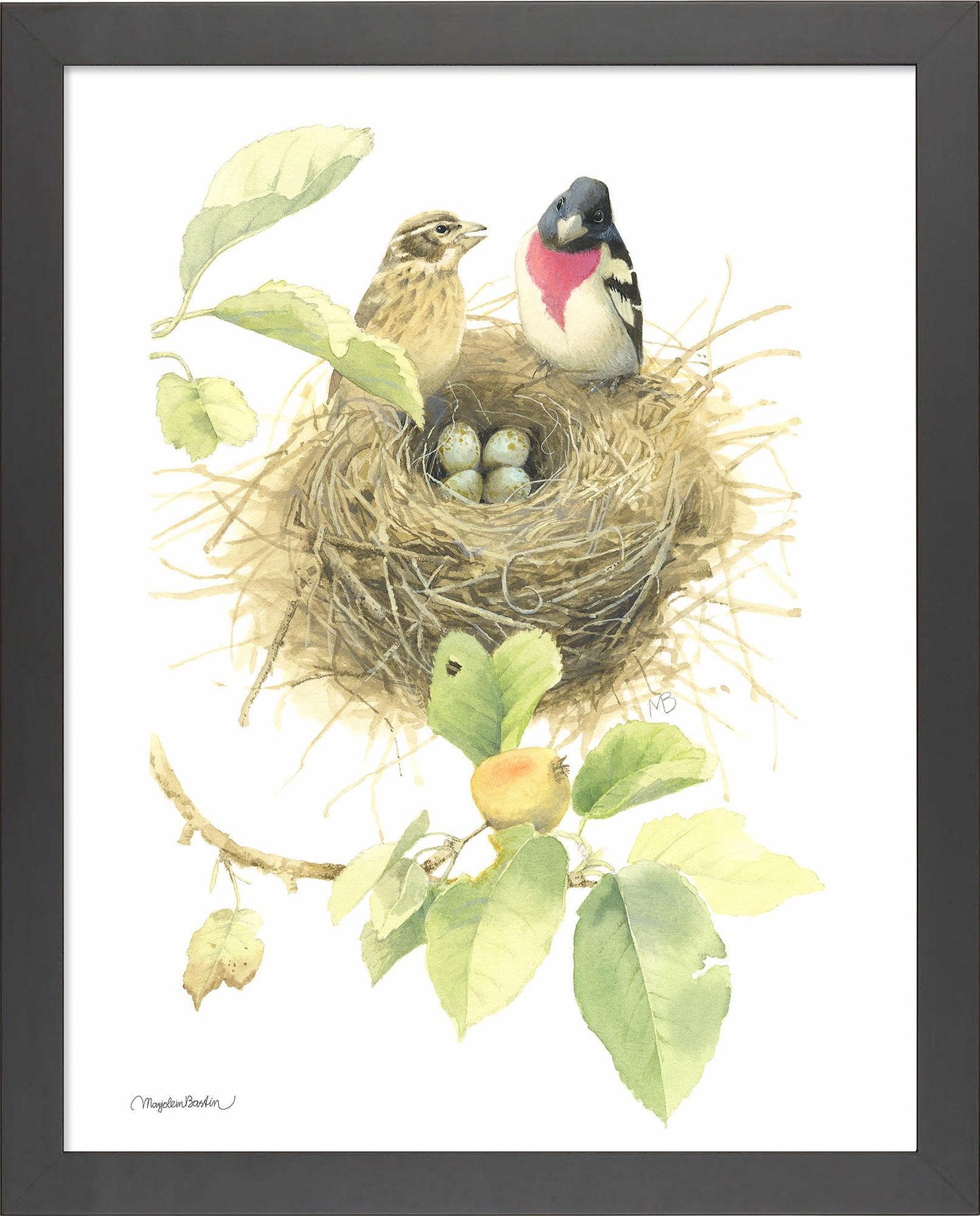 fd-startingfamilyrb-grosbeaks14x11-ap-blac-F058710026B.jpg