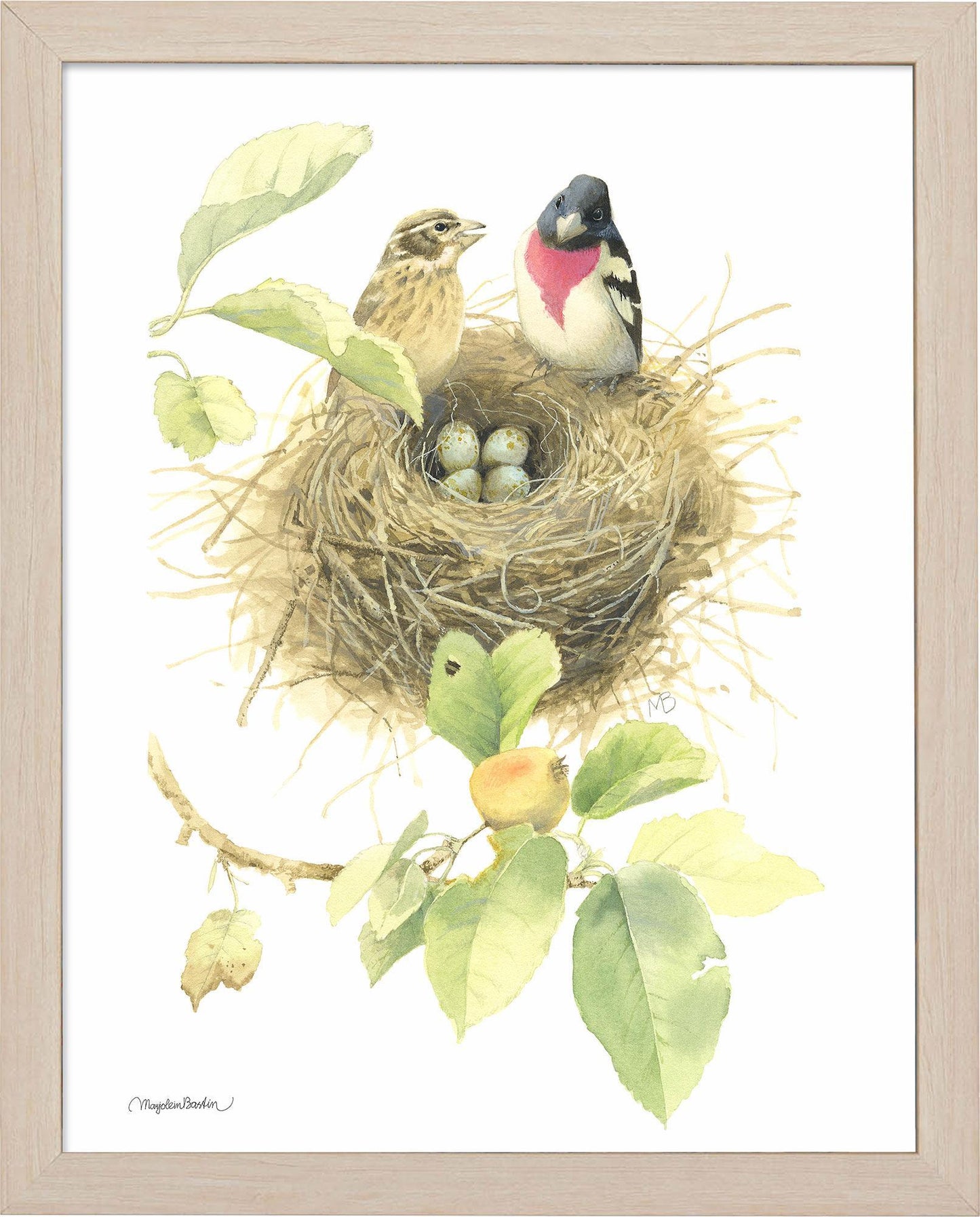 fd-startingfamlilyrb-grosbeaks14x11-ap-nat-F058710026N.jpg