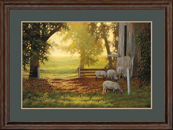 fd-summer-gold-sheepcummings-F195728580.jpg