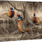First Dusting - Pheasants - 13" x 18" Gallery Wrapped Canvas