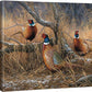 First Dusting - Pheasants - 16" x 20.5" Gallery Wrapped Canvas