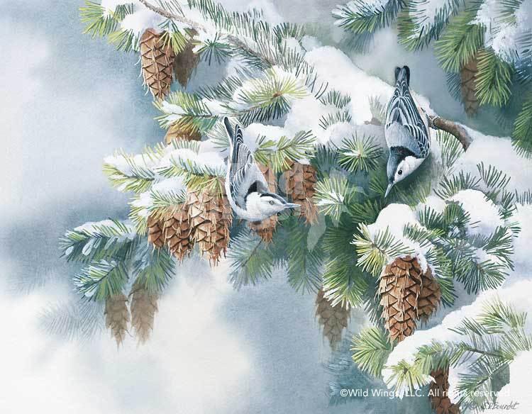 first-snowfall-nuthatch-by-susan-bourdet-1085220046d_3efce088-3c95-4272-a568-495004e2dbfe.jpg