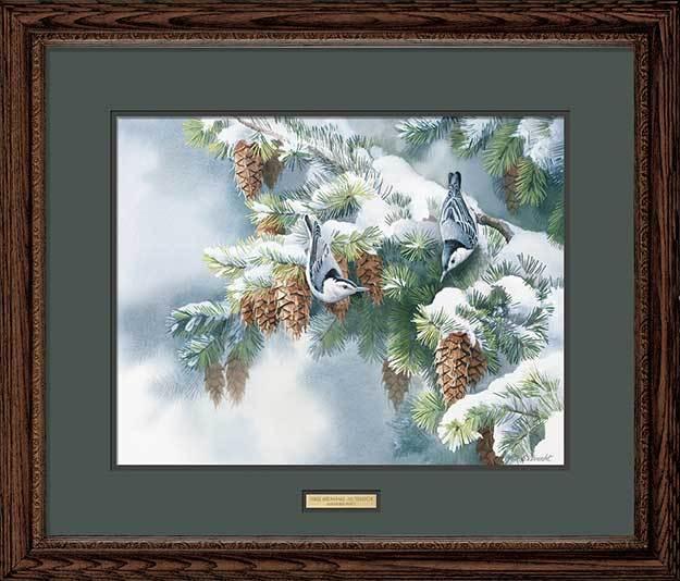 first-snowfall-nuthatch-by-susan-bourdet-F085220046d_59511aa9-e10e-46da-96cb-627a2aa7f82a.jpg