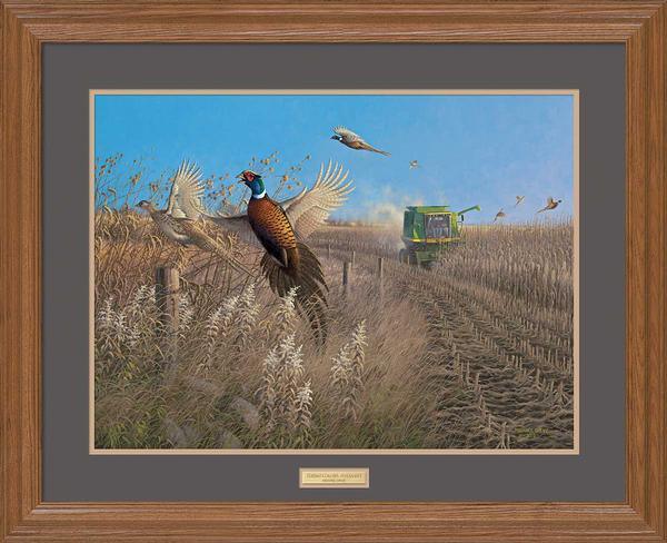 flying-colors-pheasants-gna-premium-framed-print-michael-sieve-ELT2408919_9afb0fdf-0bd6-493b-b6ff-37e6b11144aa.jpg
