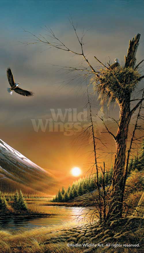 flying-free-by-terry-redlin-pinnacle-1701245589d.jpg
