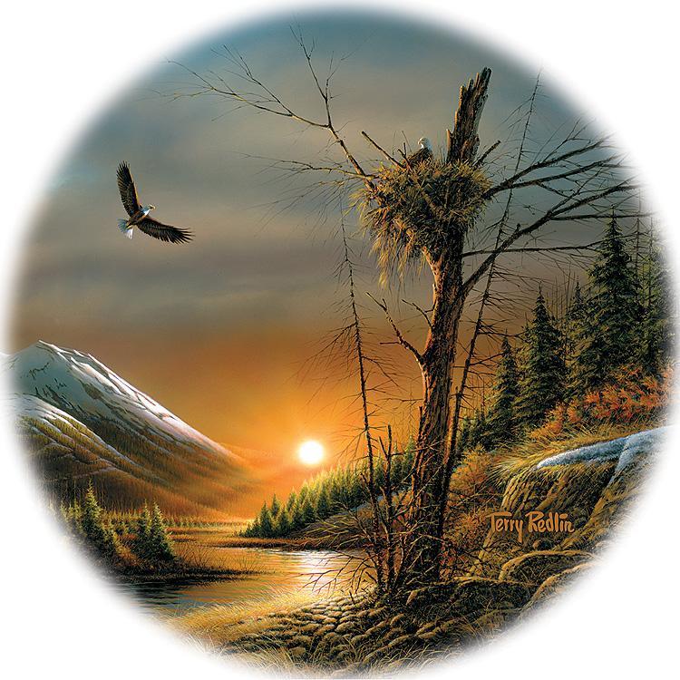 flying-free-eagle-coasters-redlin-4209097528d_51d402f3-f23d-4cf5-a4bd-333019dbc21b.jpg