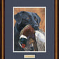 framed-black-lab-hunting-dog-art-print-prize-possession-by-scot-storm-f830667056d.jpg