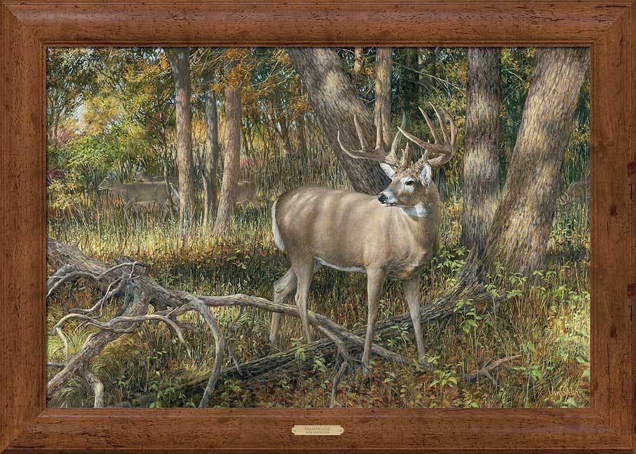 Shadowland - Deer - 30" x 42" Framed Gallery Canvas