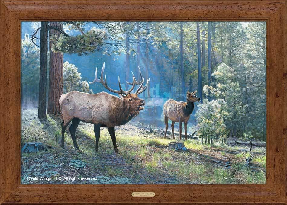 Spirited Exchange—Elk - 24" x 36" Framed Gallery Canvas