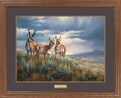 framed-pronghorns-art-print-approaching-storm-by-rosemary-millette-ELT1910567d_56c15eba-3168-4439-a89b-2efbc7a818b5.jpg