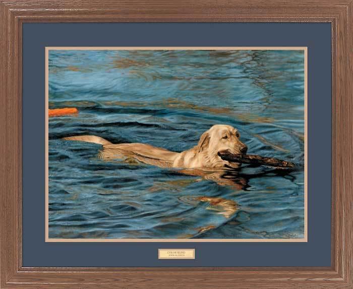 framed-yellow-lab-art-print-by-john-aldrich-EPR0151856d_6a7da261-b7df-4b77-aa39-beb77a47c0bc.jpg