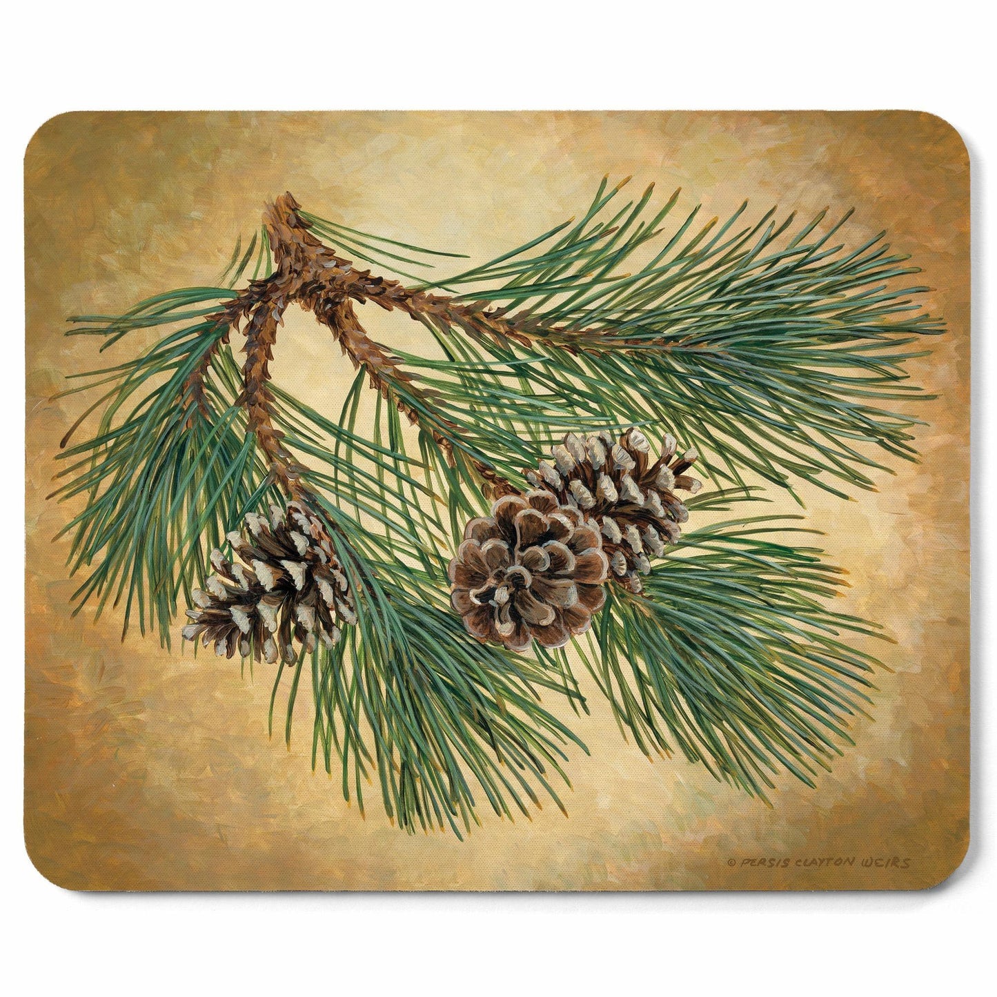 Fruits of your Red Pine