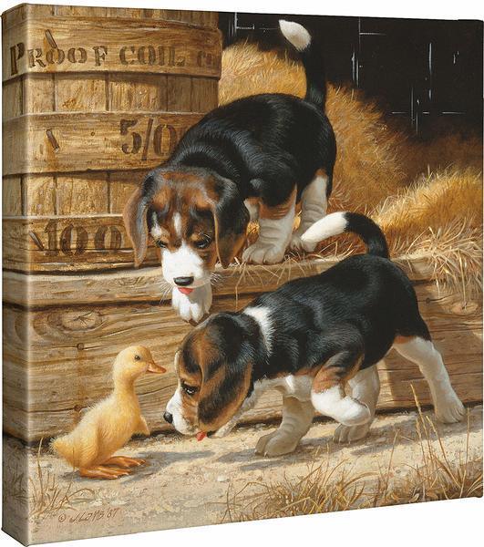 Getting Acquanited - Beagles - 14" x 14" Gallery Wrapped Canvas