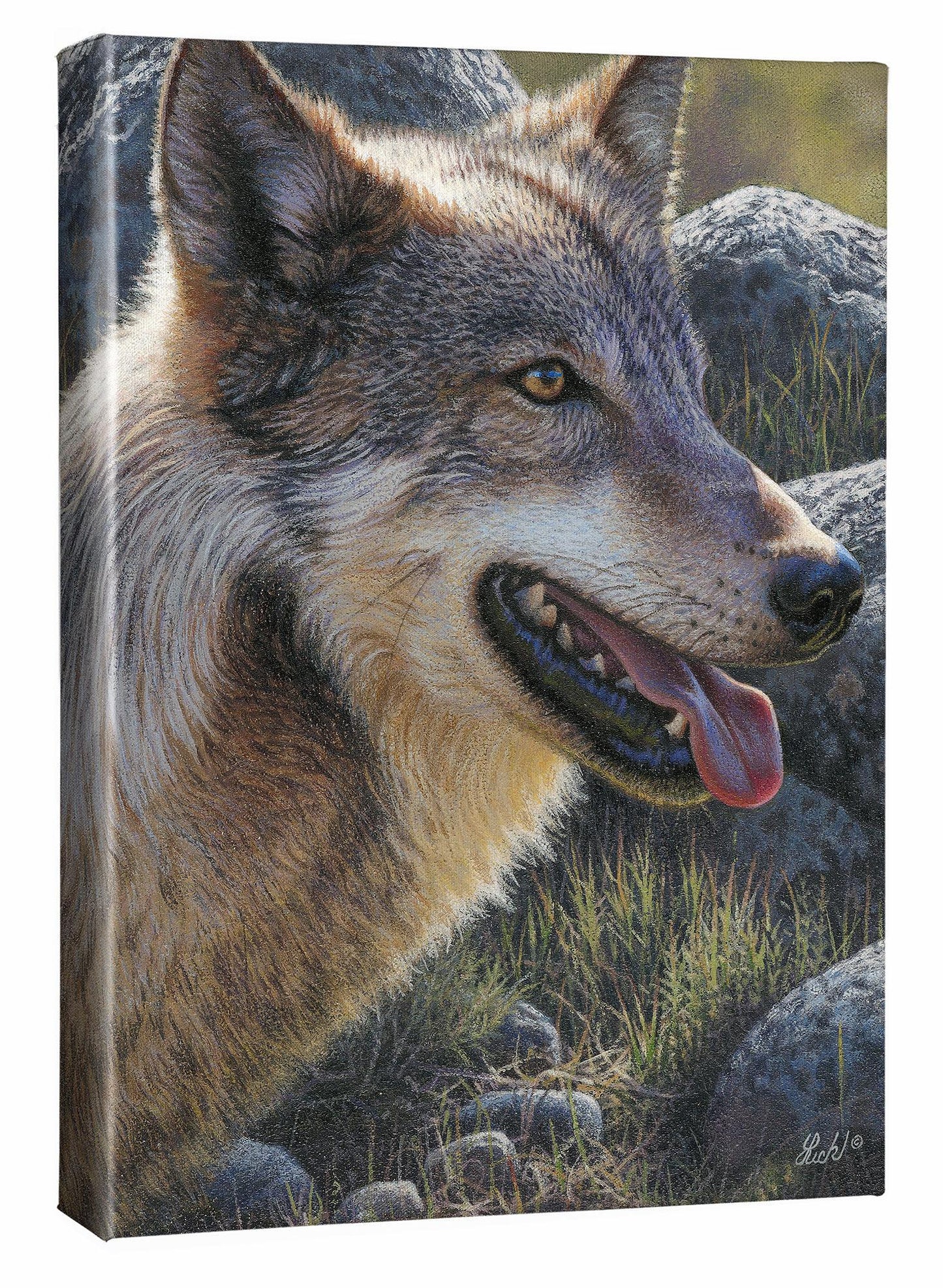 Gray Matter—Wolf - 18" x 13" Gallery Wrapped Canvas