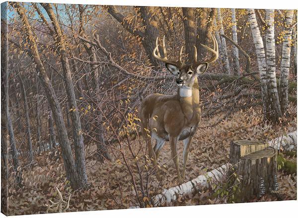 Great Eight - Whitetail Deer - 24" x 36" Gallery Wrapped Canvas