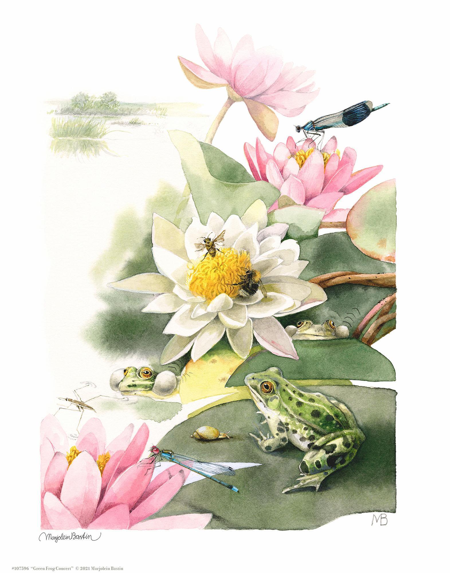 green-frog-concert-art-collection-1058255076IG.jpg
