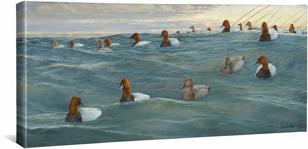Heading Offshore - Canvasbacks - 12" x 26" Gallery Wrapped Canvas