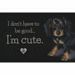 Hello - Dachshund I'm Cute - 12" x 18" Wood Sign
