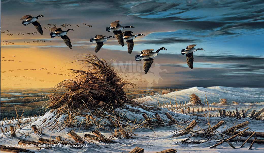 high-country-terry-redlin-elite-edition-1701307589d.jpg